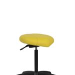 Zenki Stand Perch